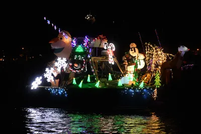 DSC_2501 (Large).JPG